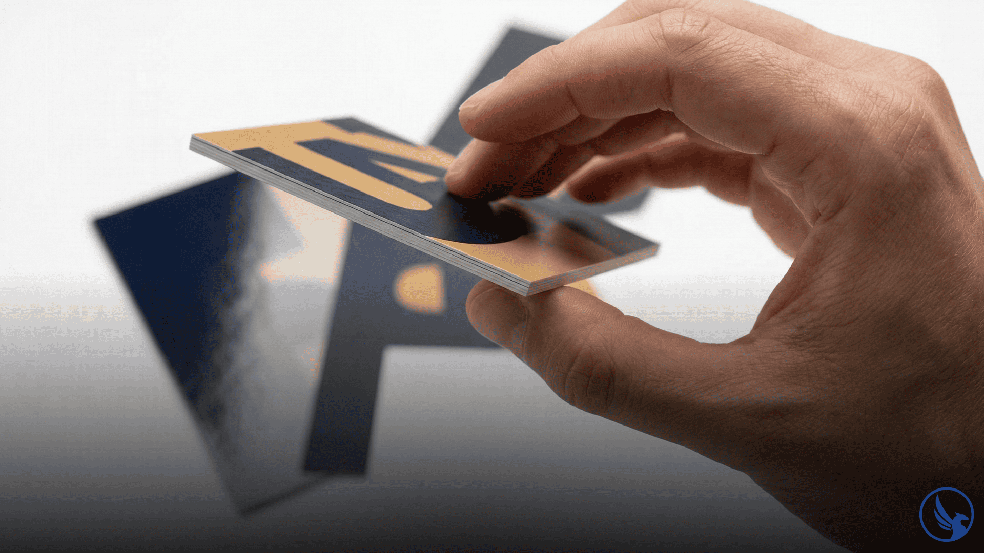 Close-up of a hand holding a premium thick printed postcard showing EDDM paper stock options with gloss and matte finish cards visible in background